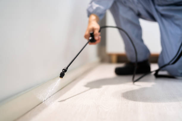 Certified termite inspector examining foundation in Colorado City